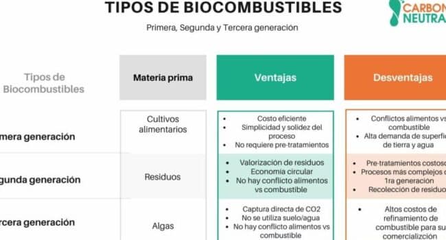 Qué son los biocombustibles y qué tipos existen? - CARBON NEUTRAL +