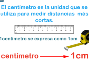 Primero de Primaria – Medidas. El metro y el centímetro ...