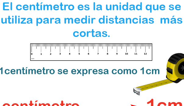 Primero de Primaria – Medidas. El metro y el centímetro ...