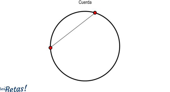 Elementos de la circunferencia: ejemplos y ejercicios resueltos