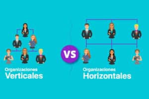 Organizaciones verticales vs. horizontales