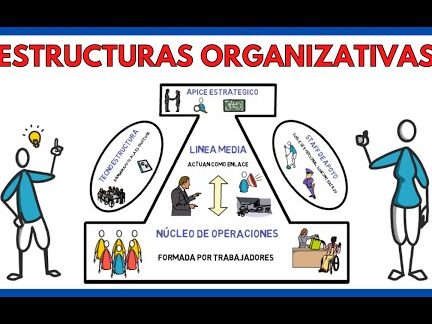 Estructura organizativa de una empresa - Qué es y cuántos tipos hay