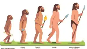 Homo sapiens: los científicos que aseguran haber identificado el ...