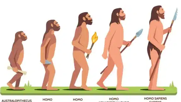 Homo sapiens: los científicos que aseguran haber identificado el ...