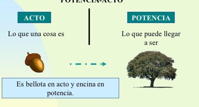 El taller de Filosofía: 2º de Bachillerato: Aristóteles y la ...