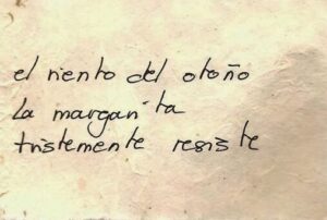 Haiku | qué es, cómo es y características de estos poemas cortos ...