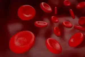 Qué es hematología? | Centro Médico ABC