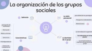 La organización de los grupos sociales.