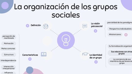 La organización de los grupos sociales.