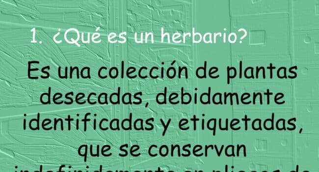 El Herbario Principios generales y métodos para elaborar un ...