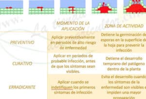 Informe técnico-científico sobre el uso e impactos del herbicida ...