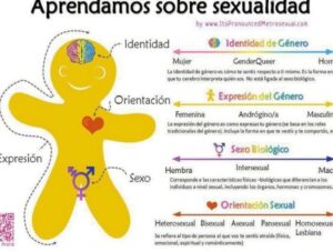 Guía de conceptos de género para las hermanas, los señores y los ...