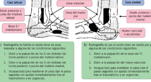 Tutor: Eugenio Izquierdo Macón Alumno: Jonatan Cabeza Calderón 1 ...