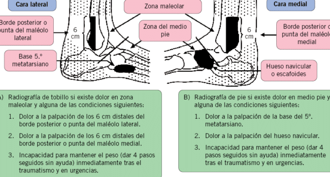 Tutor: Eugenio Izquierdo Macón Alumno: Jonatan Cabeza Calderón 1 ...