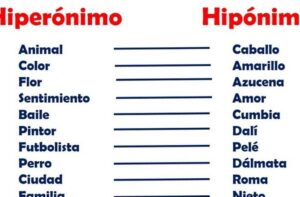 Qué son los hiperónimos y los hipónimos? - Billiken