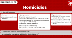 Los tipos de homicidio según el Código Penal | LP