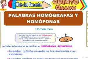 Palabras Homógrafas y Homófonas para Quinto Grado de Primaria