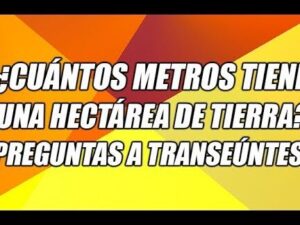 ¿CUÁNTOS METROS TIENE UNA HECTÁREA DE TIERRA? (PREGUNTAS A TRANSEÚNTES) -  WILSON TE EDUCA