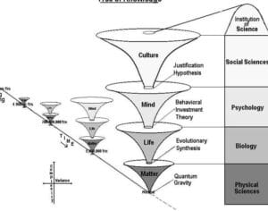 Cuáles son las 4 ciencias exactas? - Ciencia y Salud