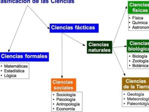 Clasificación de las ciencias - Diferenciador