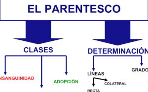 El parentesco: concepto, modalidades y cómputo - Escobar Navarrete ...