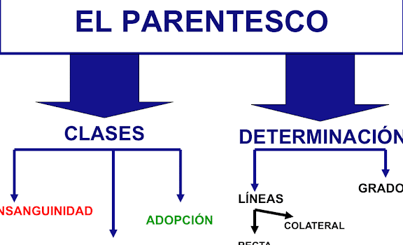 El parentesco: concepto, modalidades y cómputo - Escobar Navarrete ...