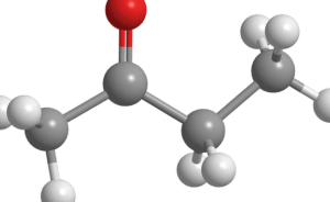 Cetona - Qué es, clasificación, definición y concepto