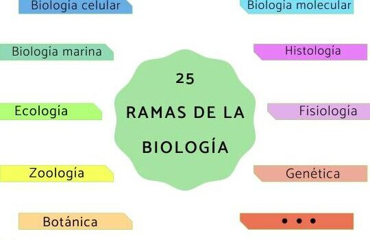 25 ramas de la biología y qué estudian - Conócelas aquí