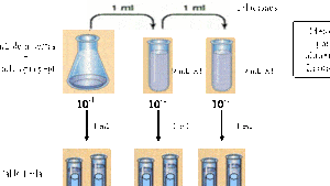 Determinación de Coliformes Totales y Fecales. Método de recuento ...