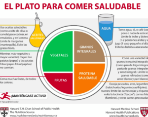 La pirámide alimentaria y la nueva pirámide saludable, la guía ...