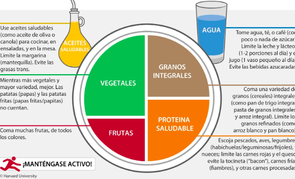 La pirámide alimentaria y la nueva pirámide saludable, la guía ...