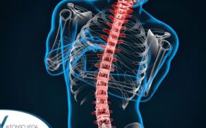 Funciones y estructura de la columna vertebral - Dr Alfonso Vega