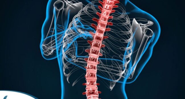 Funciones y estructura de la columna vertebral - Dr Alfonso Vega