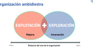 Organización ambidiestra, para crecer - mentorDay WikiTips