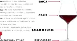 Partes de una copa de Vino - [Guía + funciones Principales]