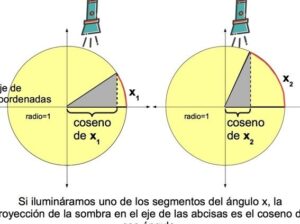 Funciones trigonométricas: seno, coseno y tangente - Toda Materia