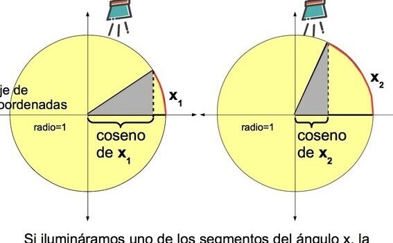 Funciones trigonométricas: seno, coseno y tangente - Toda Materia