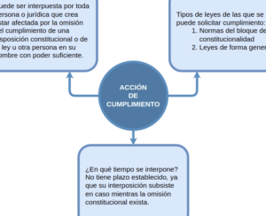 LA ACCIÓN DE CUMPLIMIENTO EN BOLIVIA