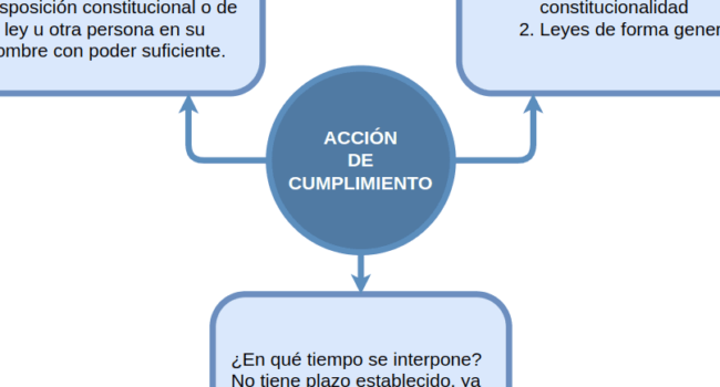 LA ACCIÓN DE CUMPLIMIENTO EN BOLIVIA