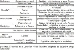 Conceptos y componentes de la actividad física y el fitness