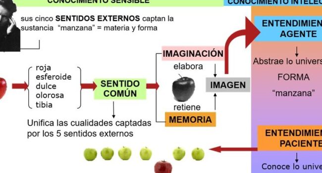 CONOCIMIENTO