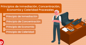 Principios de inmediación, concentración, economía y celeridad ...