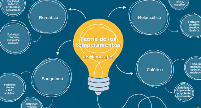 Mapas mentales: guía completa para organizar tus ideas