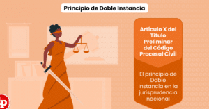 Qué es el principio de doble instancia? (artículo X del título ...