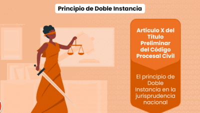 Qué es el principio de doble instancia? (artículo X del título ...