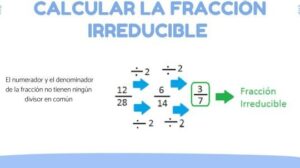 Cómo calcular la FRACCIÓN irreducible - con VÍDEO y EJERCICIOS