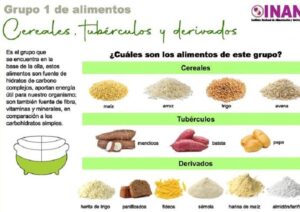 Cereales, tubérculos y derivados, el primero de los siete grupos ...