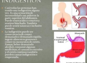 ▷ Conoce qué es la ingestión y su impacto en tu salud