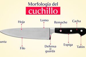 Guía de cuchillos de cocina, tipos y para que sirve | Aprende ...