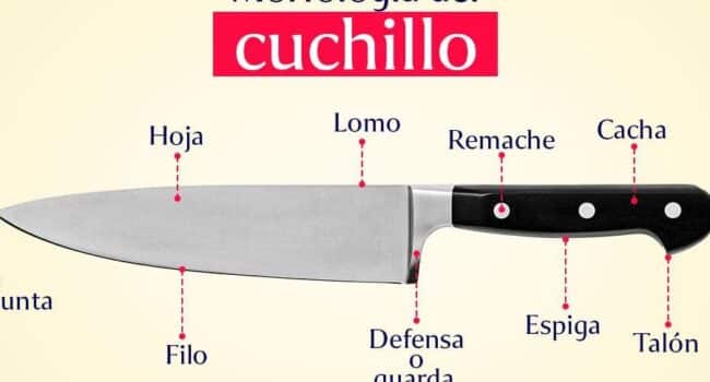 Guía de cuchillos de cocina, tipos y para que sirve | Aprende ...